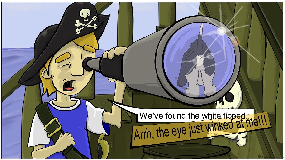 ST-Comic-14 (frame 5)