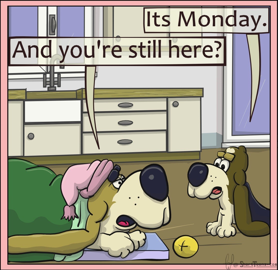 Mnb-Comic-3 (frame 2)